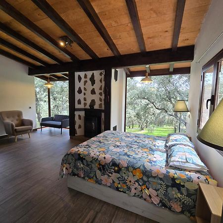 Nuevo Ecolodge Cabaneros Retuerta de Bullaque Buitenkant foto