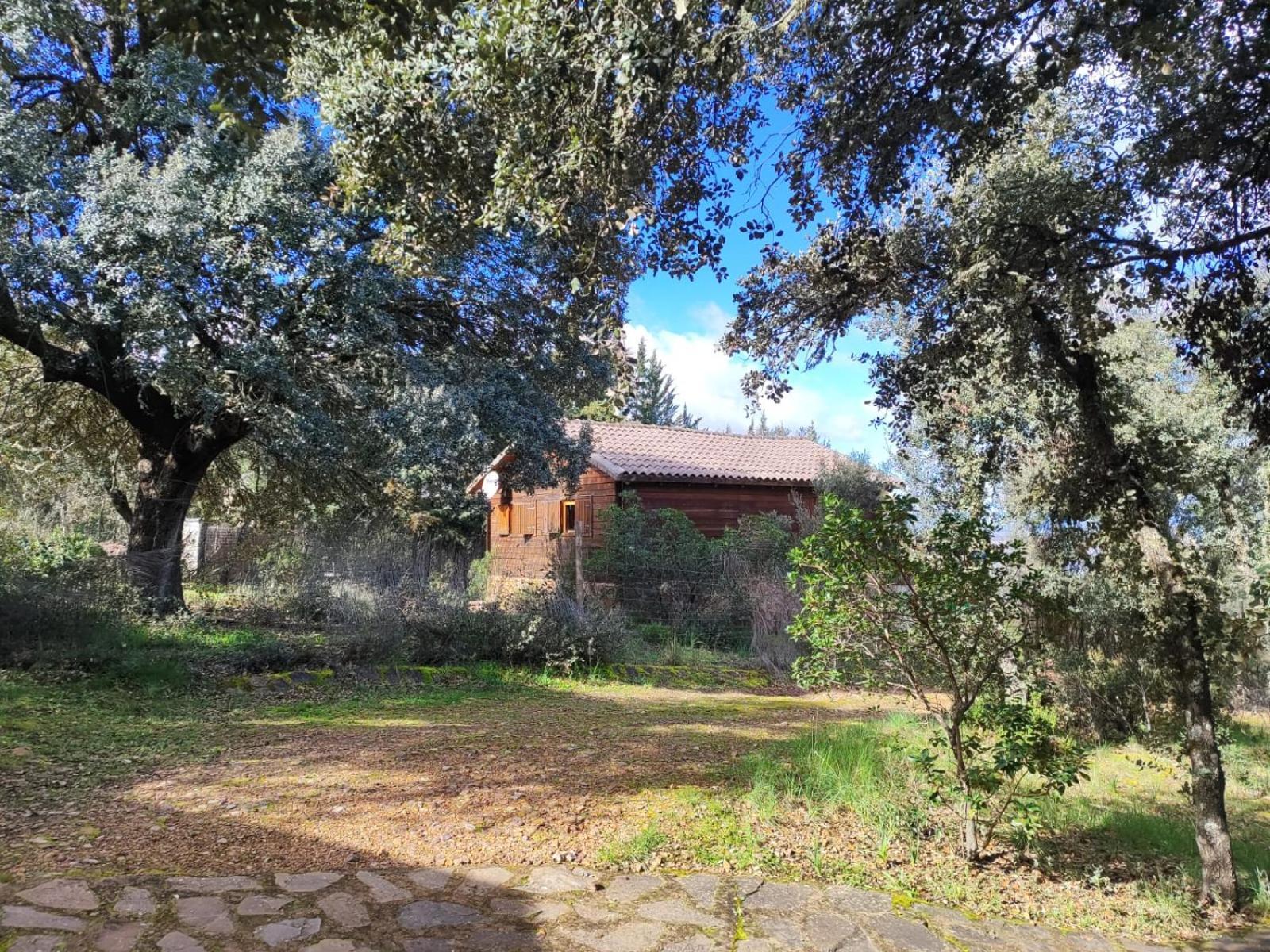 Nuevo Ecolodge Cabaneros Retuerta de Bullaque Buitenkant foto