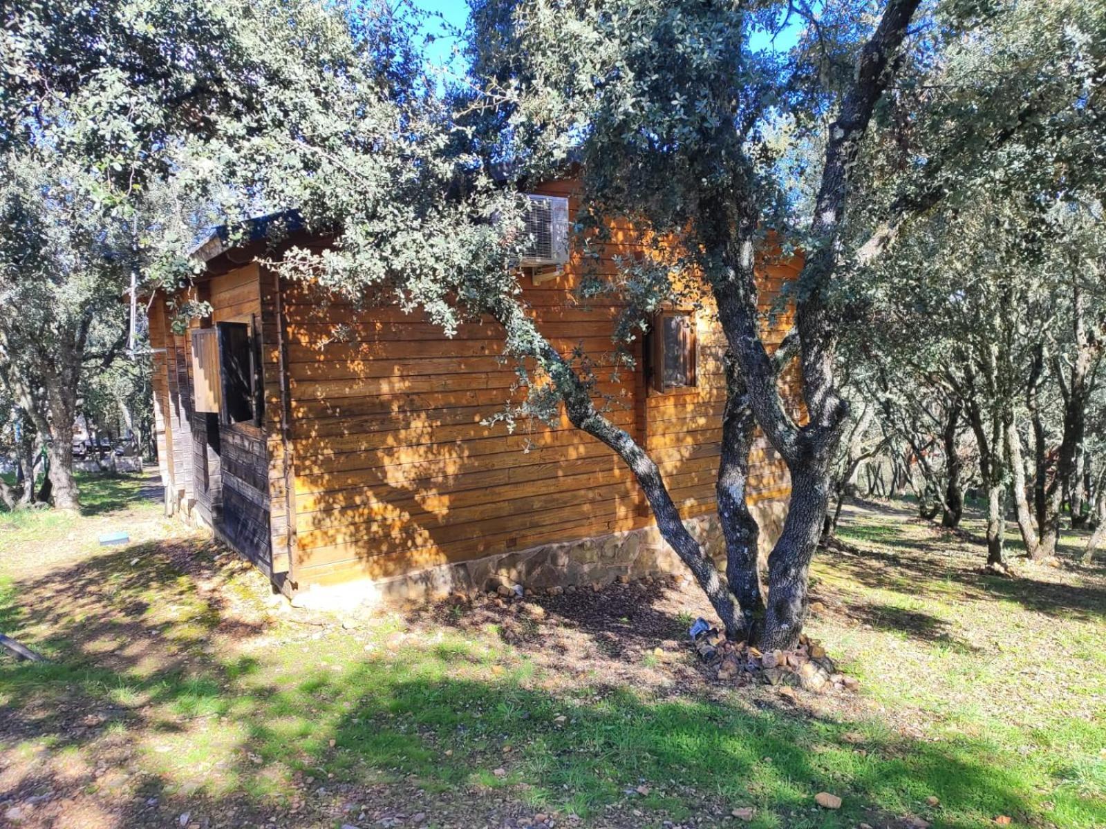 Nuevo Ecolodge Cabaneros Retuerta de Bullaque Buitenkant foto