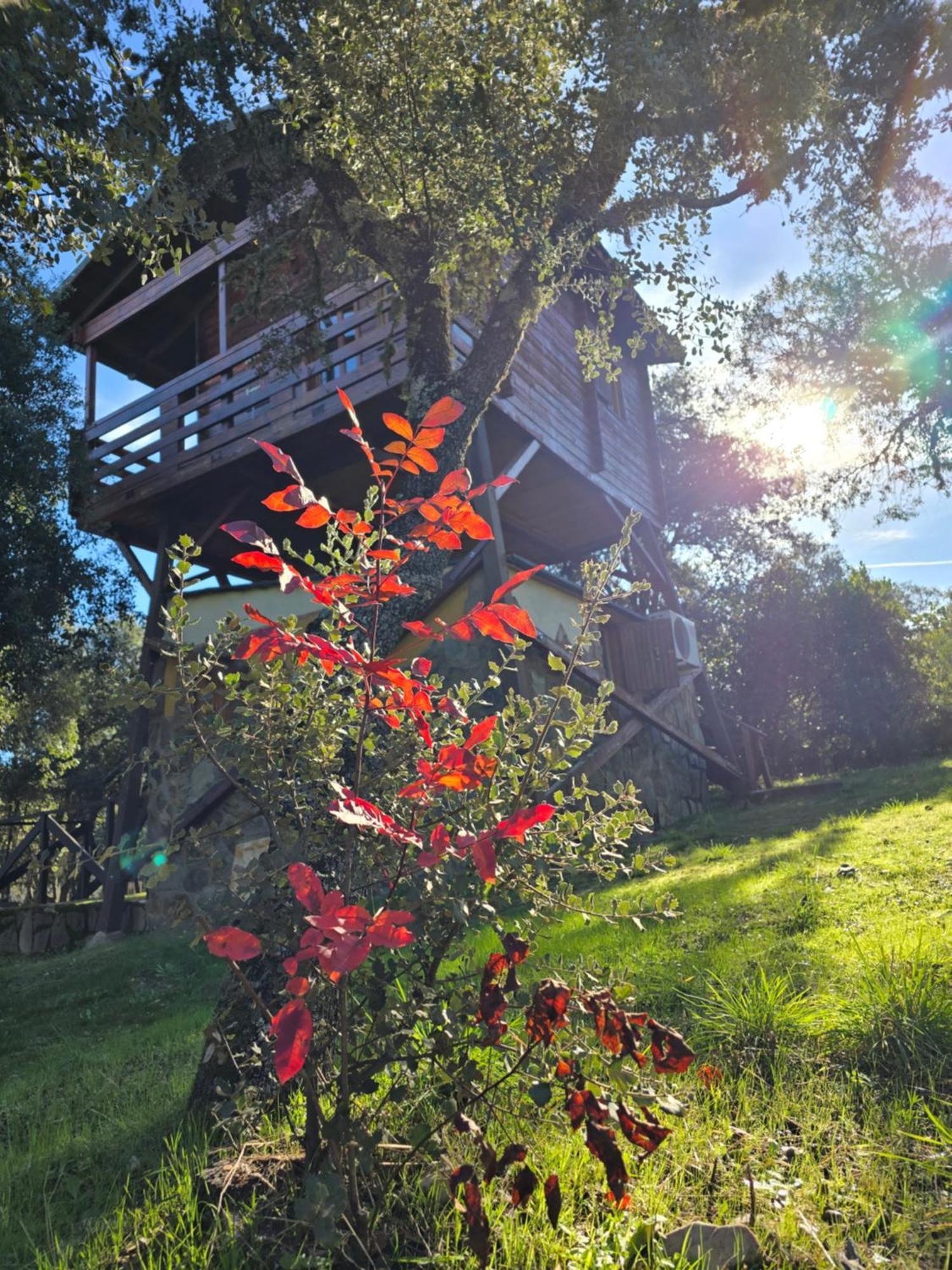 Nuevo Ecolodge Cabaneros Retuerta de Bullaque Buitenkant foto